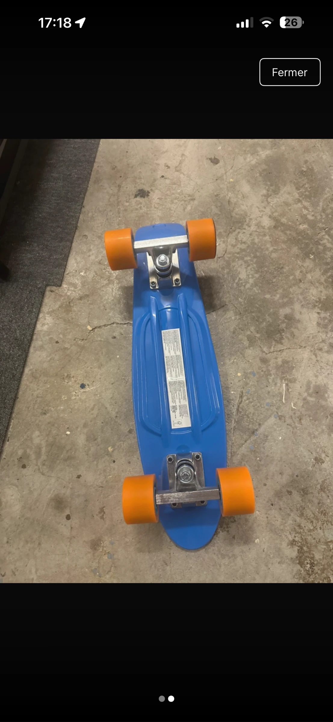 Skate  – photo 2